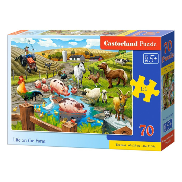 Кастор пазлы 070 