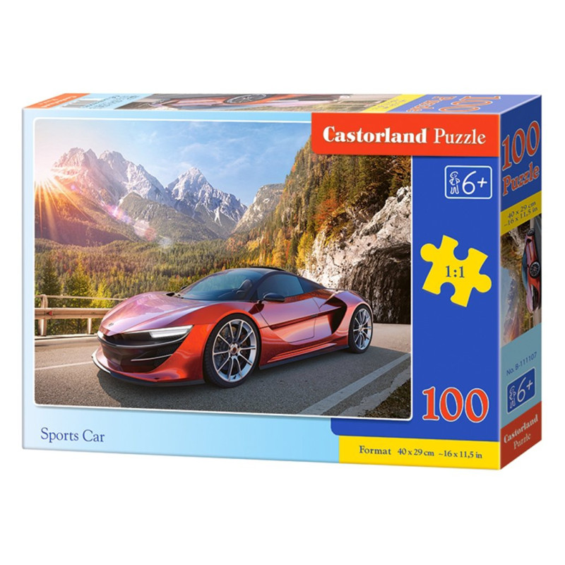 Кастор пазлы 100  