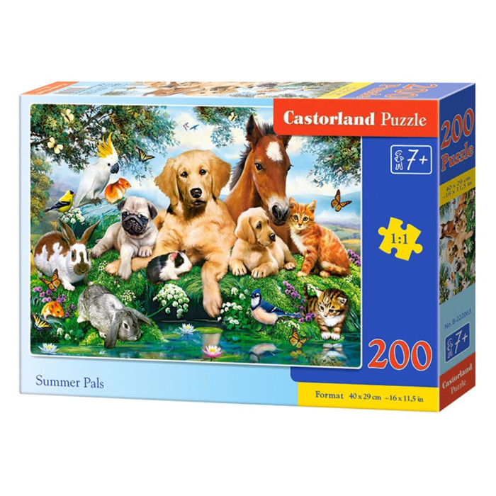 Кастор пазлы 200 