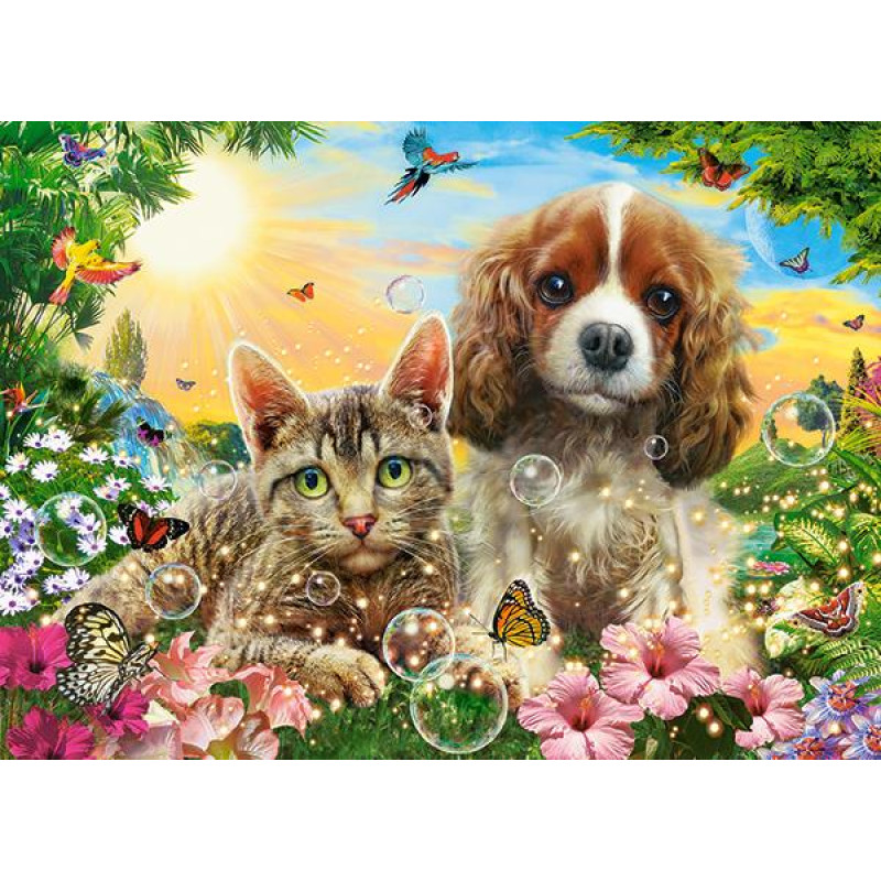 Кастор пазли 200 