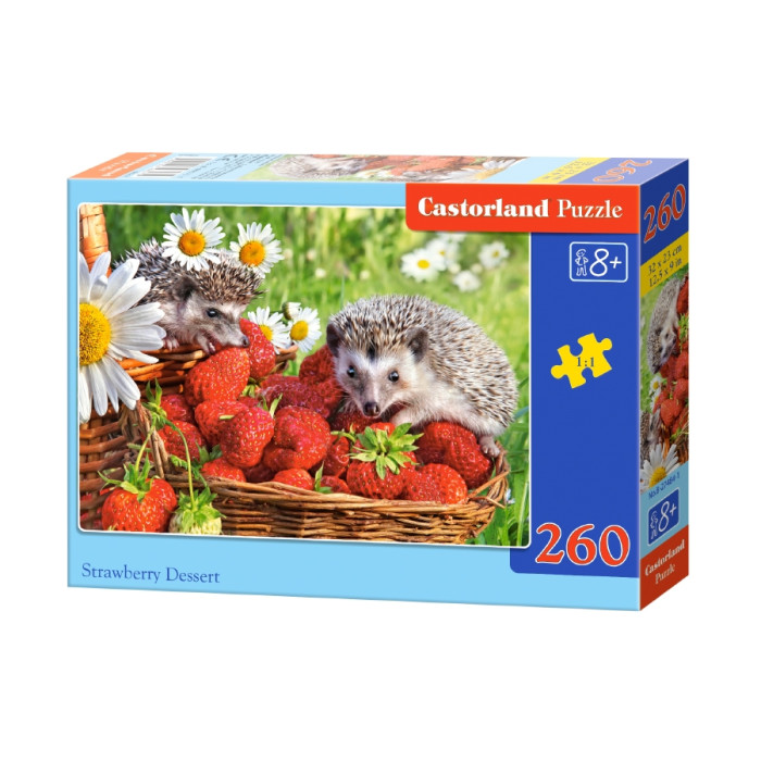 Кастор пазли 260 