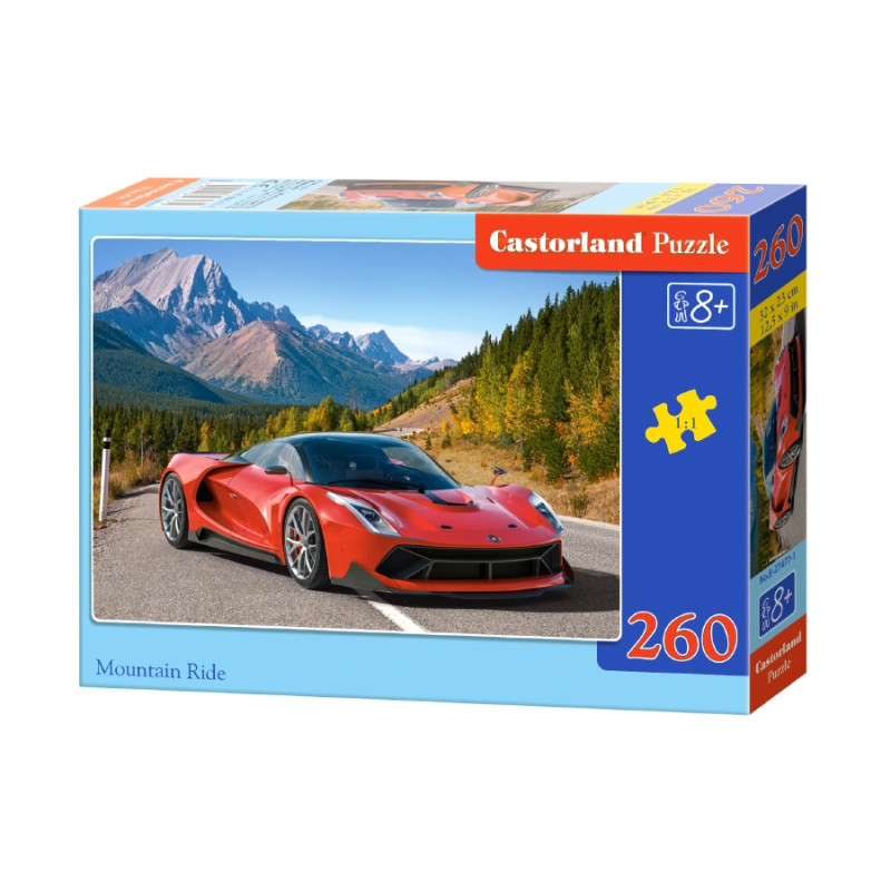 Кастор пазли 260 
