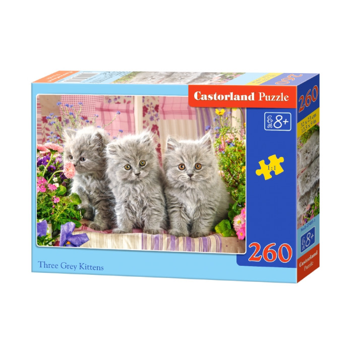 Кастор пазли 260 