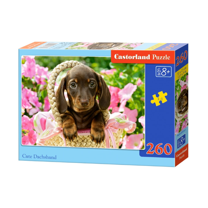Кастор пазли 260 