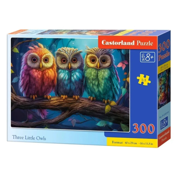 Кастор пазли 300 