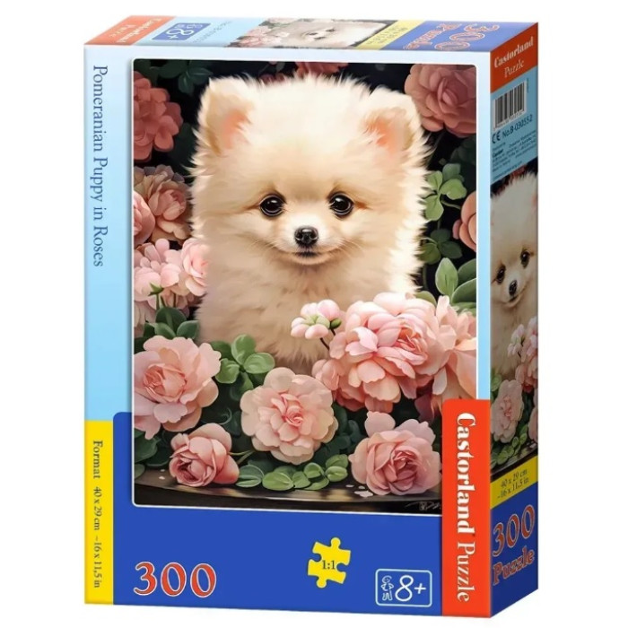 Кастор пазли 300 