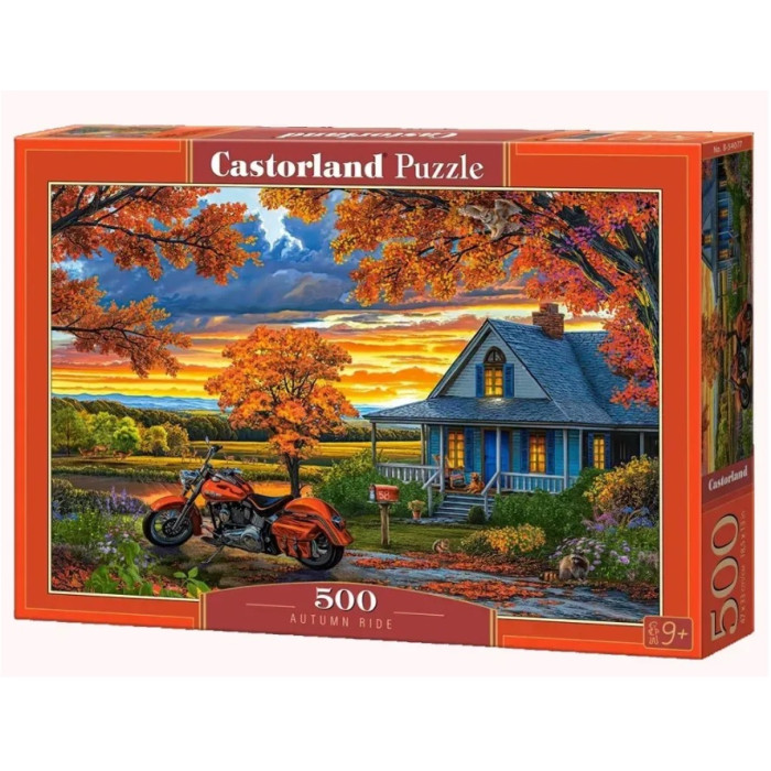 Кастор пазли 500 