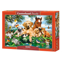 Кастор пазлы 500 Кастор пазлы 500