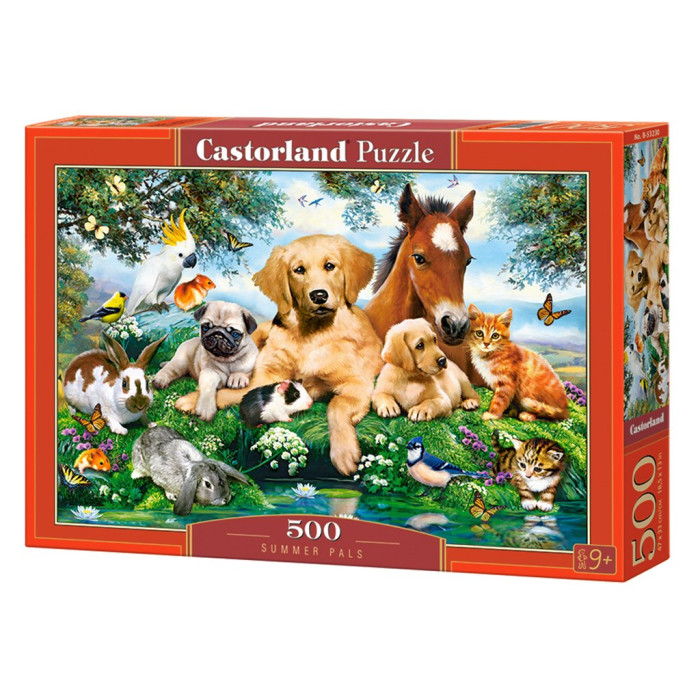 Кастор пазлы 500 