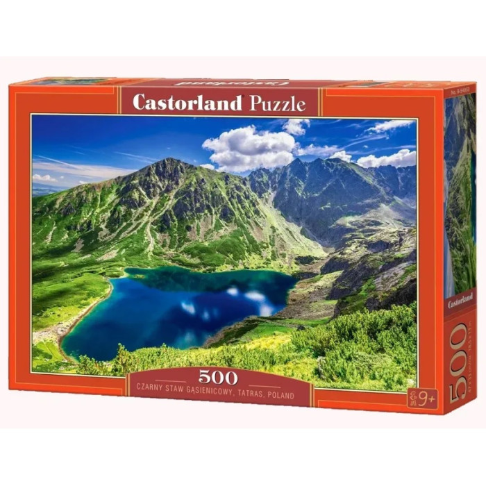 Кастор пазли 500 