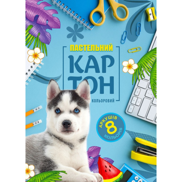 Набір картону кольорового одностороннього пастельний 210х297 мм, 8 аркушів. в папці.22114