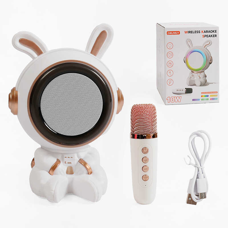 Караоке 1 мікрофон, режими підсвічування, вбудований акумулятор, Bluetooth, слот для TF Card, USB-type-c кабель, USB-роз’єм, AUX-роз’єм, колонка з підсвічуванням, зміна голосу, в кор. /36/