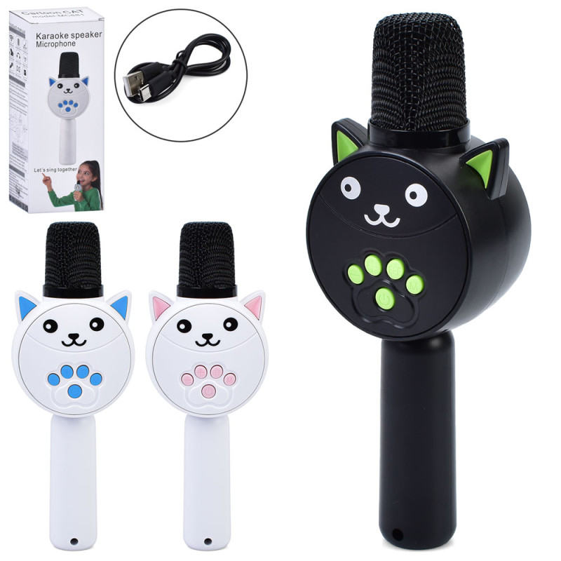 Мікрофон 20см, акум, Bluetooth, FM, MP3, TFслот, USBзарядне, 3 кольори, в кор-ці, 8-20,5-5,5см /35/