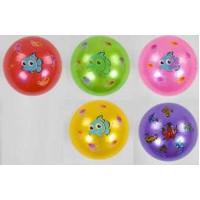 М`яч гумовий 5 кольорів /500/