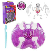 Іграшка лаборатонний набір , Кажан, скелет, внутрішні органи, кор.19,5*4,5*29,5см //
