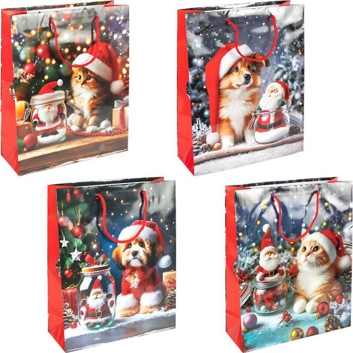 Пакет подарунковий 