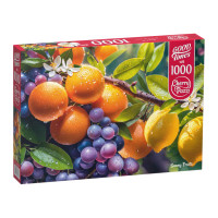 Пазли CherryPazzi 1000 