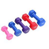 Гантель 3кг DB-0010 3кол.кул./8/ Гантель 3кг DB-0010 3кол.кул./8/